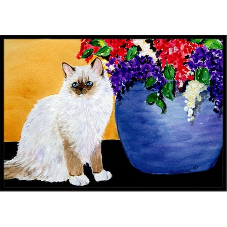 Carolines Treasures 18 x 27 in. Cat-Ragdoll Indoor and Outdoor Doormat SS8604MAT